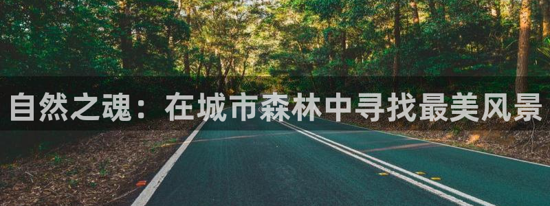 天顺娱乐栏78778:自然之魂:在城市森林中寻找最美风景