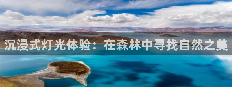 天顺娱乐柰困判p29999:沉浸式灯光体验:在森林中寻找自然之美