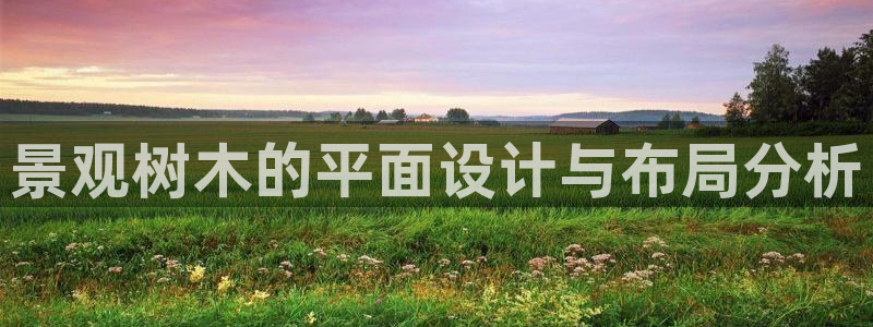 天顺娱乐亟72182:景观树木的平面设计与布局分析