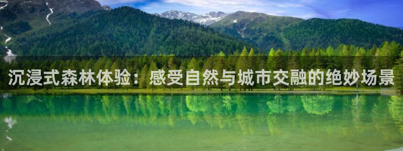 天顺娱乐乡野22650:沉浸式森林体验:感受自然与城市交融的绝妙场景